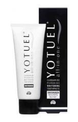 Yotuel All-In-One Wintergreen hammastahna 75 ml
